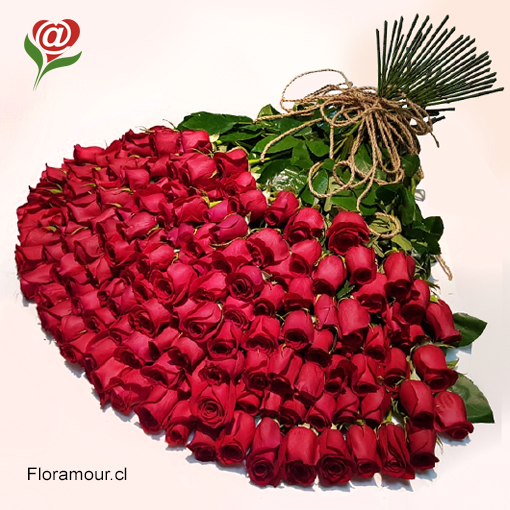 Gran ramo de 150 rosas ecuatorianos seleccionadas.
Presentacin de flores en formato de mazo atado envuelto decorativamente,
